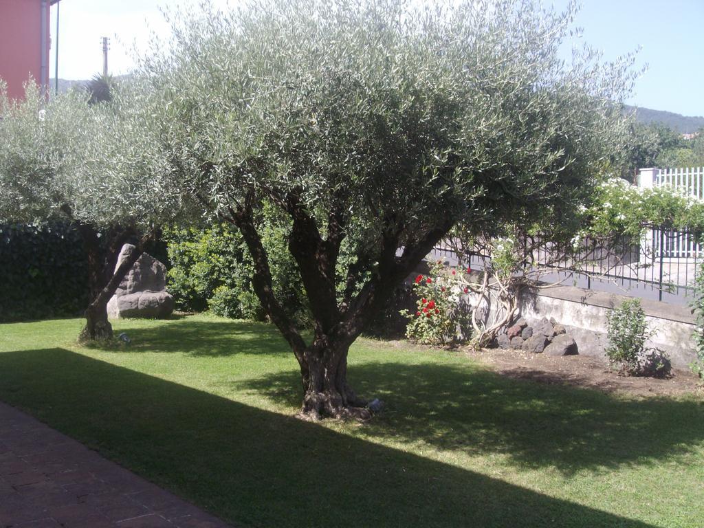 Scatitti House Villa Zafferana Etnea Værelse billede